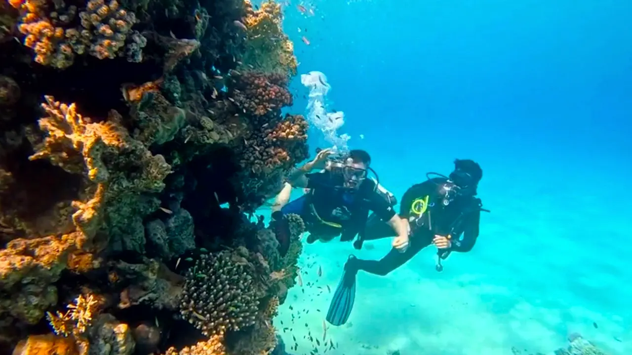 Still from the film: Exploring Near Garden dive site