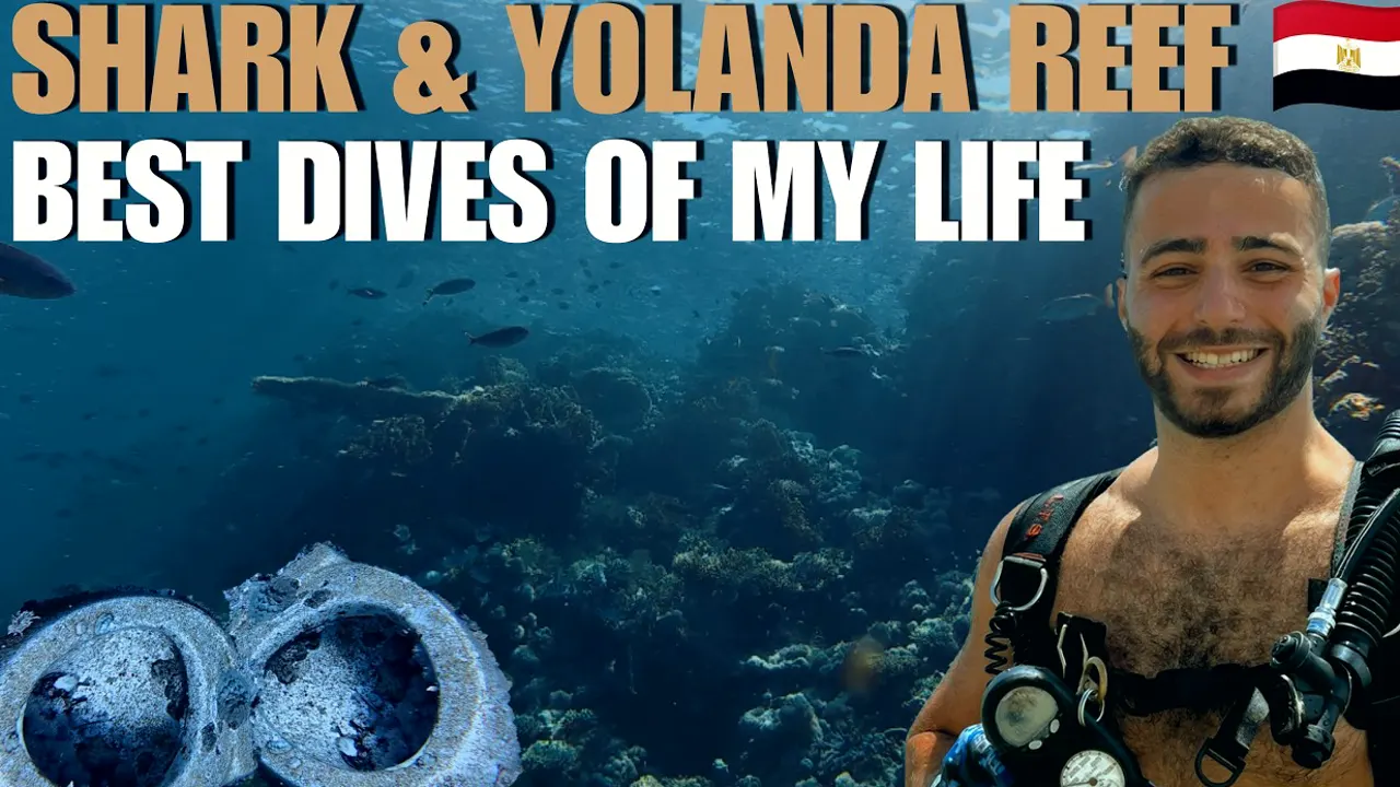 Still from the film: Shark and Yolanda reef