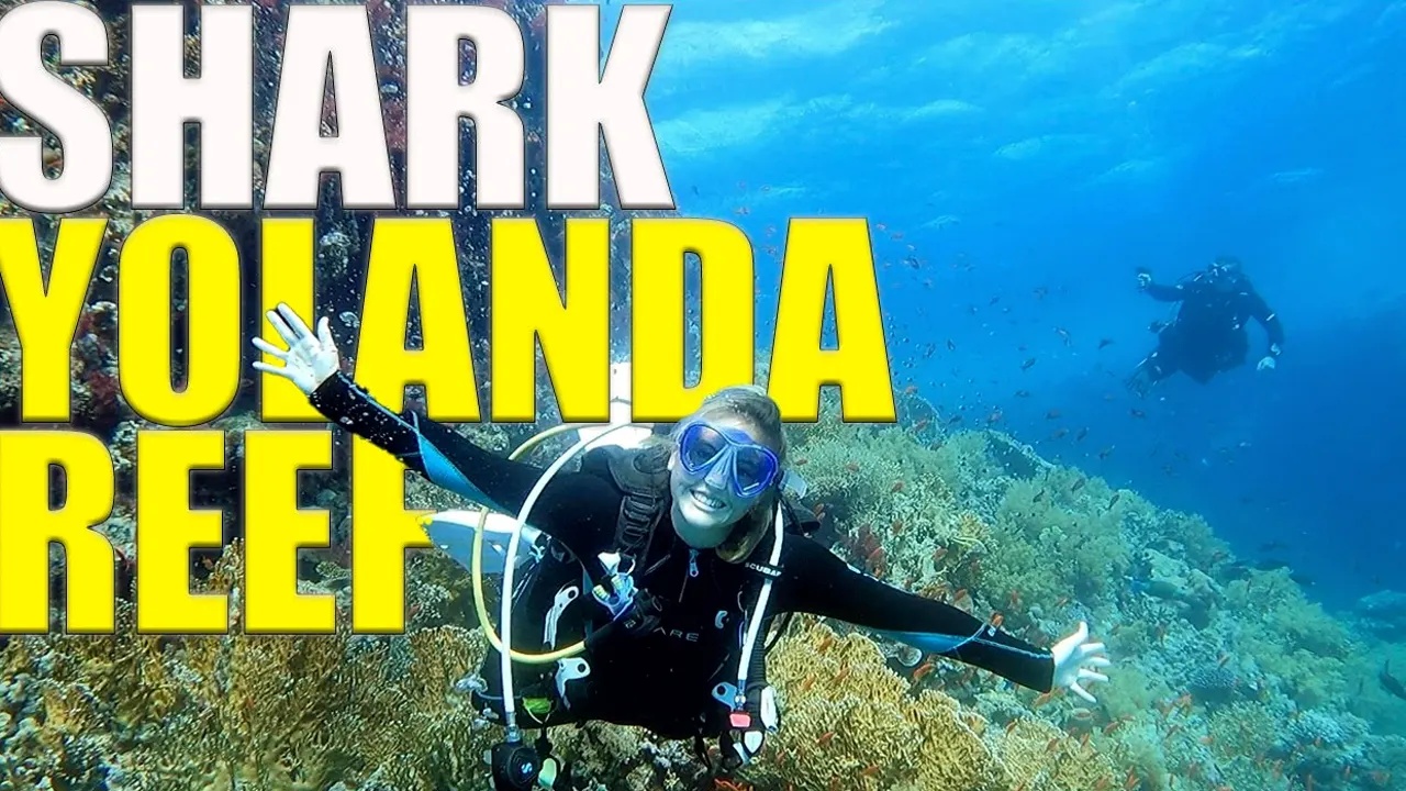 Still from the film: Our favourite reef dive in the world