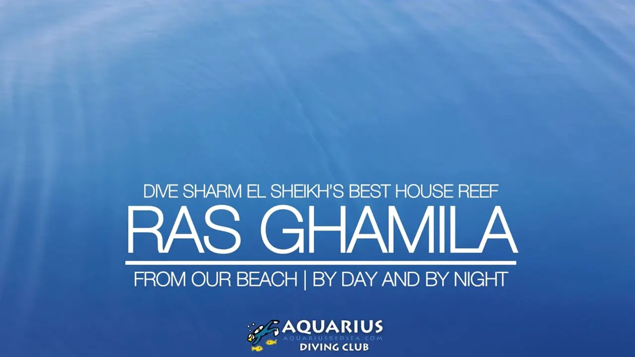 Still from the film: Ras Ghamila, a Sharm shore dive